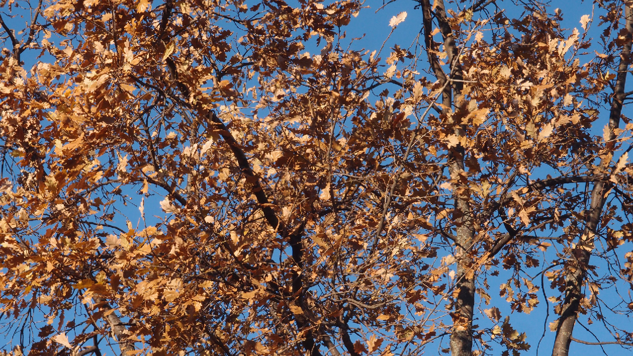 2020-12-26 Kühlgeträt (On/Off) (Remix John Cage - Empty Words IV)